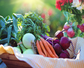 organic-eating-vegetables